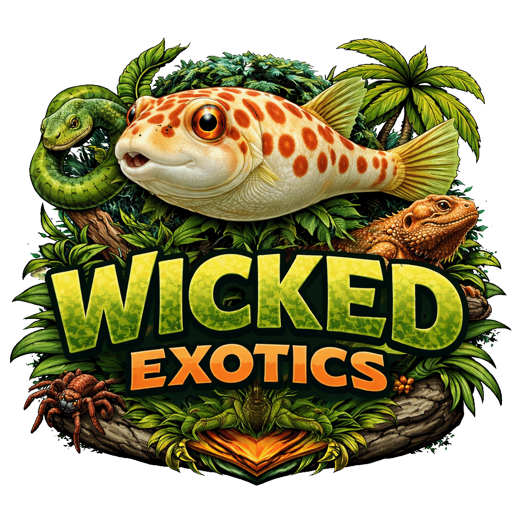 Wicked Exotics