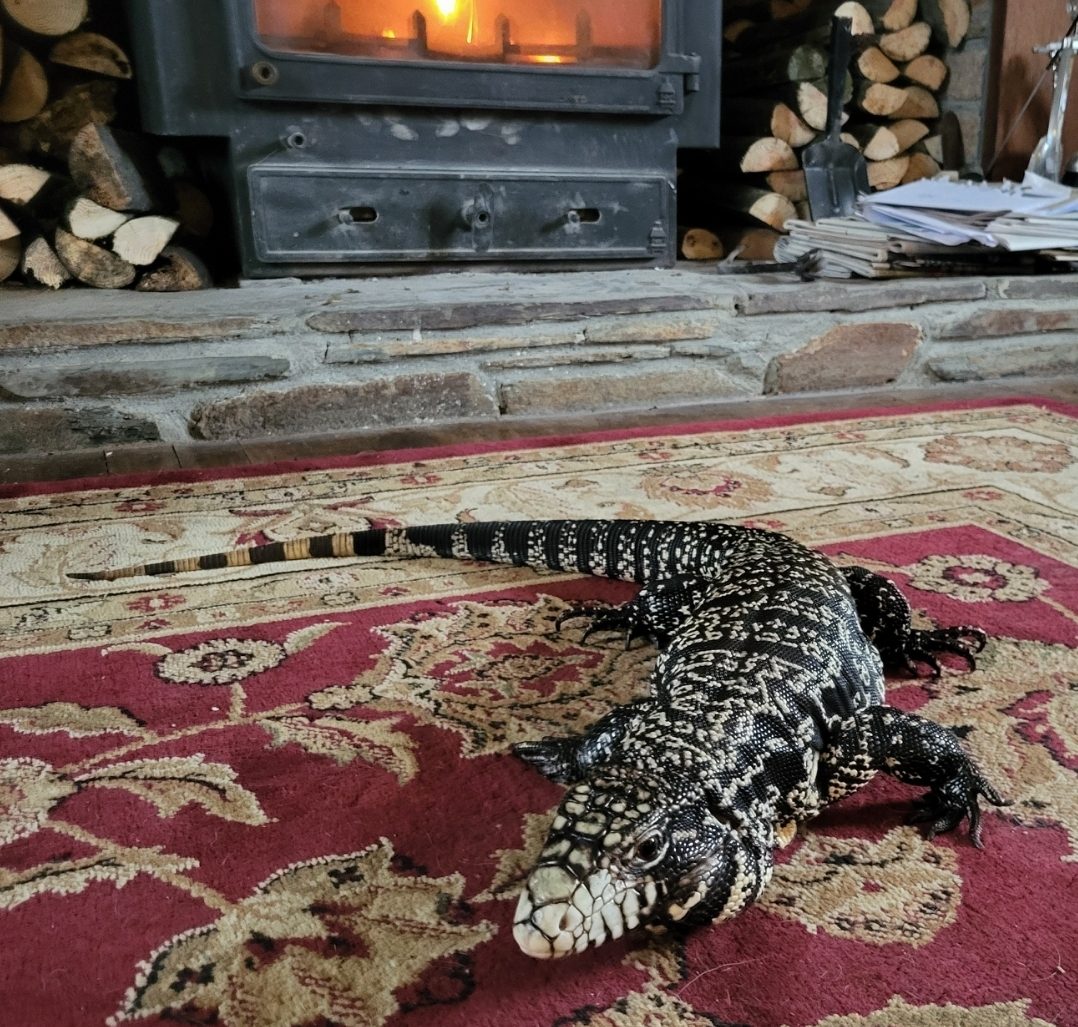 Geoff